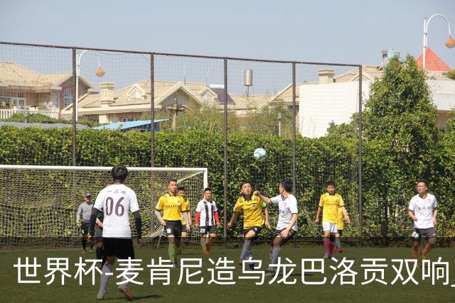 世界杯-麦肯尼造乌龙巴洛贡双响 半场美国3-0巴拉圭